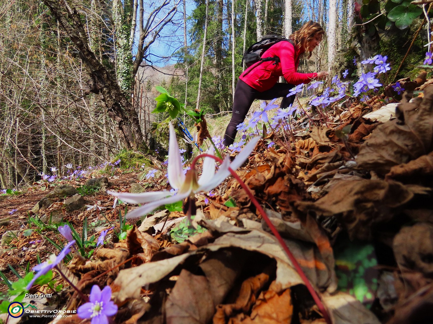 73 Rientriamo dal sent. 595 (variante alta) ben fiorito.JPG